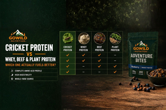 Cricket Protein vs Whey, Beef, and Plant Protein