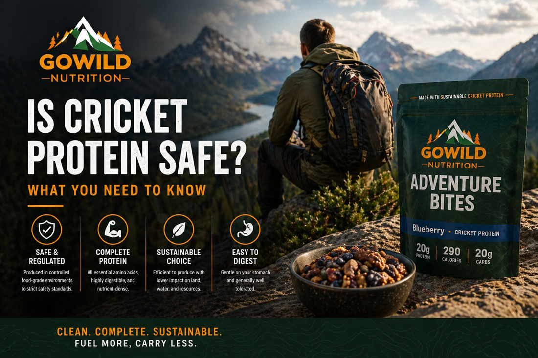 Is Cricket Protein Safe?