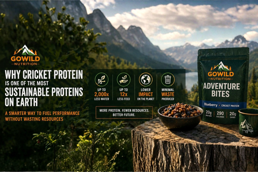 Why Cricket Protein Is One of the Most Sustainable Proteins on Earth