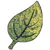 Green leaf-shaped object with a textured surface on a white background