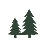 Two green pine trees icon on a white background